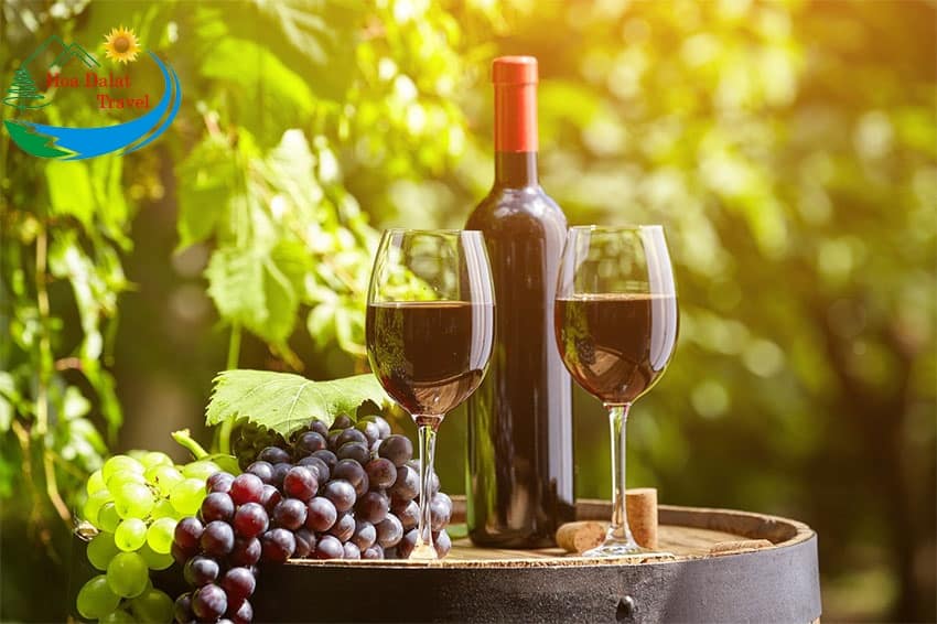 Tất tần tật về rượu vang Đà Lạt và cách chọn mua vang chất lượng