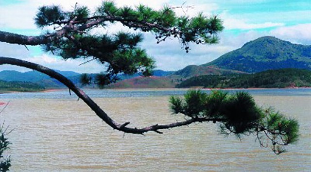 Hồ Dan Kia Suối Vàng Đà Lạt