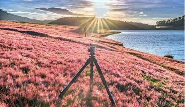 Tour đồi cỏ hồng đà lạt