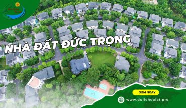 Nhà đất Đức Trọng