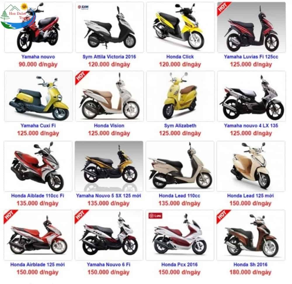 Bảng giá thuê xe máy tại Đà Lạt