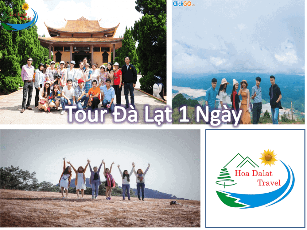 Tour Hoa Dalat Travel