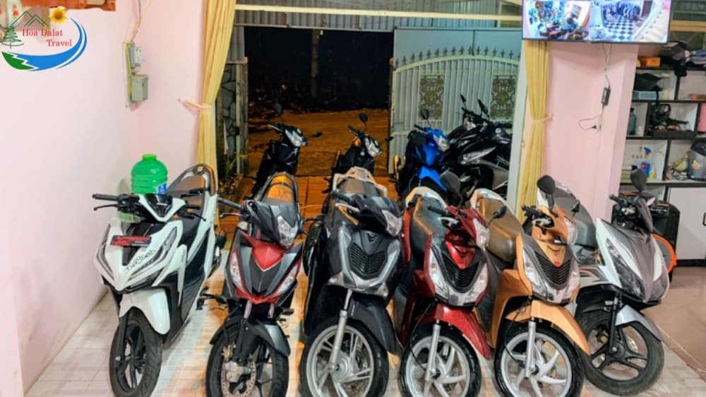 Cho thuê xe máy tại sân bay Đà Lạt uy tín
