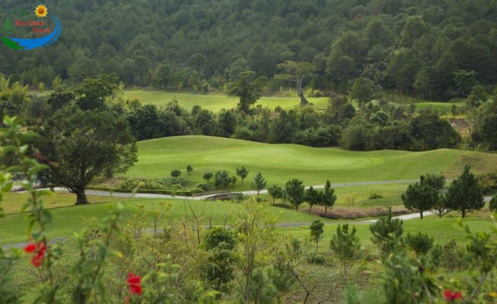 Rừng thông bao quanh sân golf Đà Lạt 1200