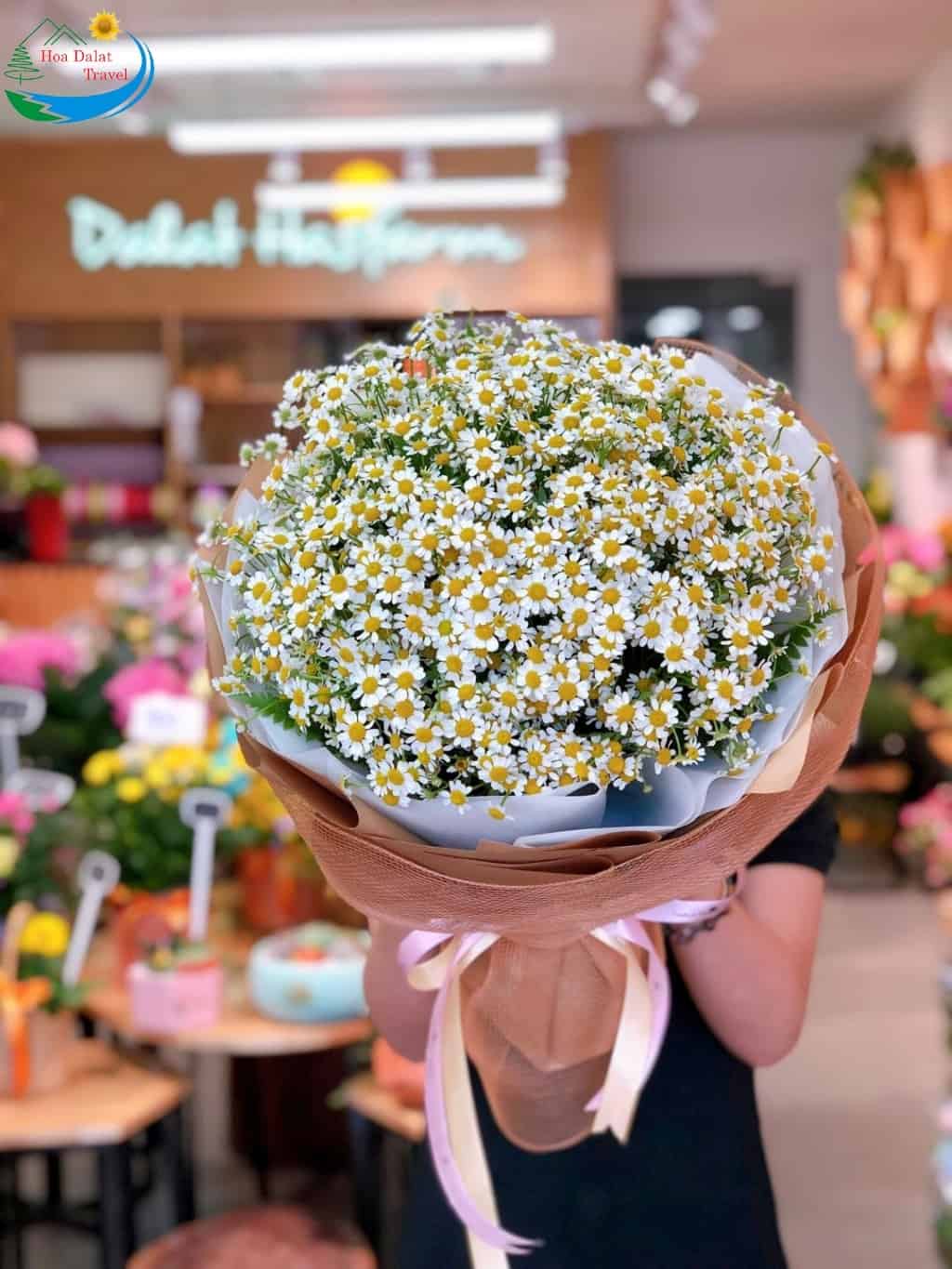 Dalat Hasfarm - shop hoa Đà Lạt