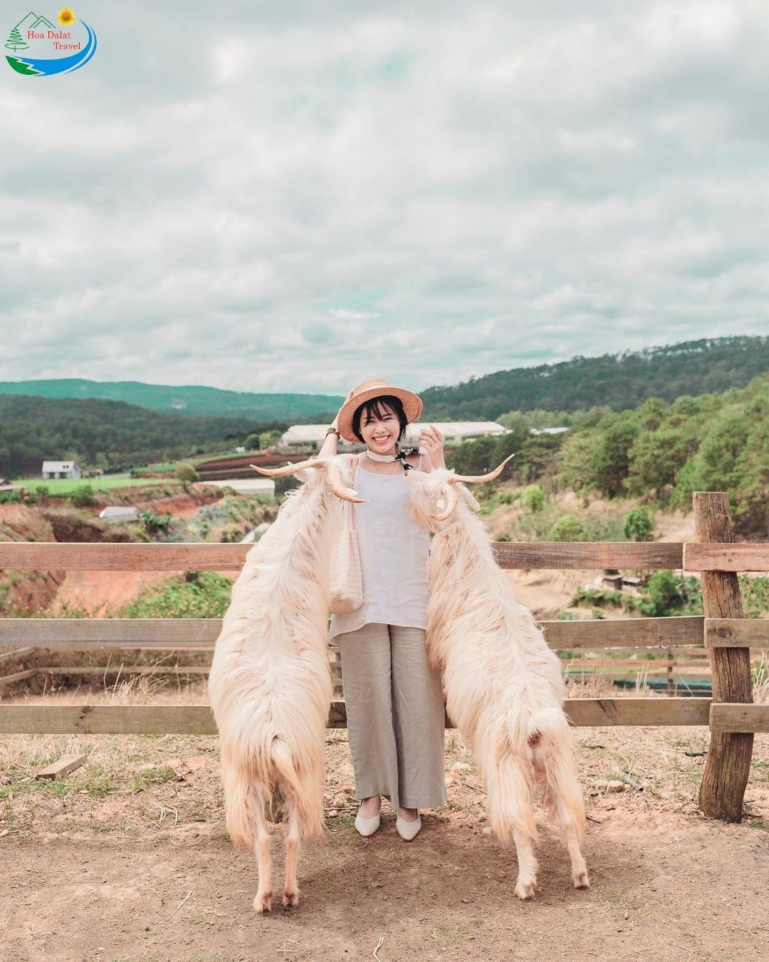 Chika Farm Đà Lạt, nông trại view đồi núi check in thú cưng cực chất