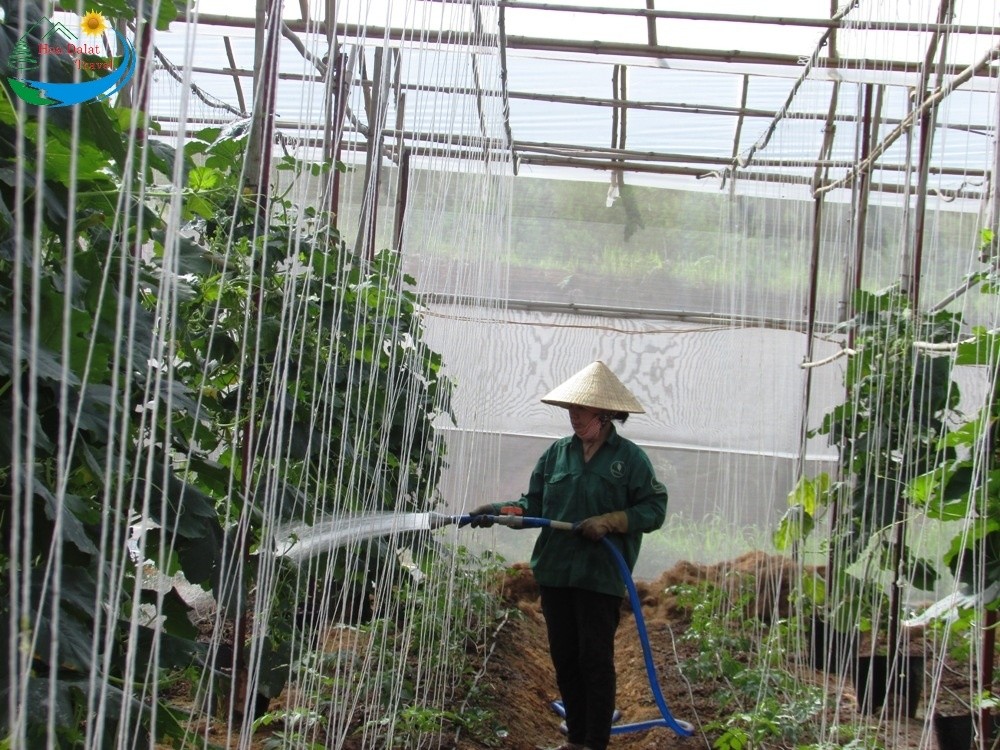 Khu nông nghiệp công nghệ cao tại xã Đạ Sar