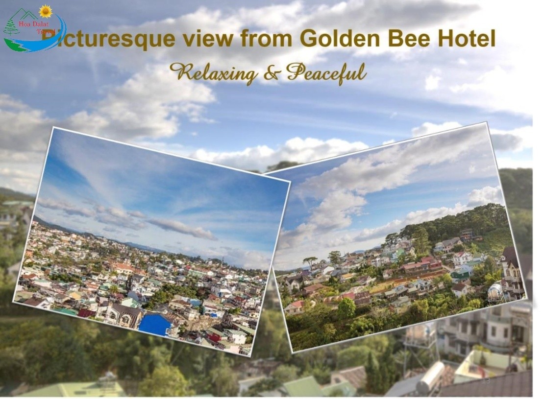 View từ Golden Bee Hotel