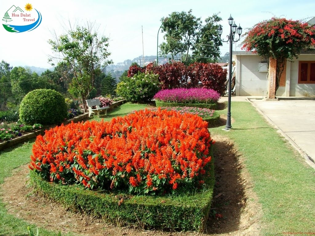 Vườn hoa Minh Tâm – nơi thưởng hoa tại Đà Lạt