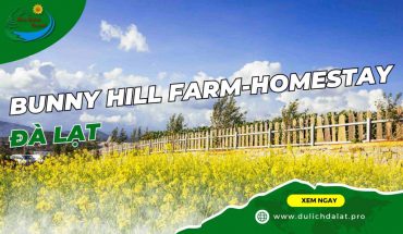 Bunny Hill Farm & Homestay
