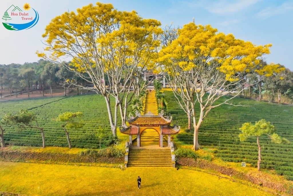 Toàn bộ Tu viện Bát Nhã Bảo Lộc đều được bao phủ bởi rừng thông xanh ngút ngàn tạo nên cảnh quan thiên nhiên tuyệt mỹ
