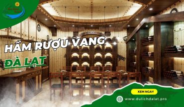 Hầm rượu vang Đà Lạt