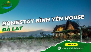 Homestay Bình Yên House Đà Lạt