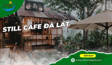 Still Cafe Đà Lạt