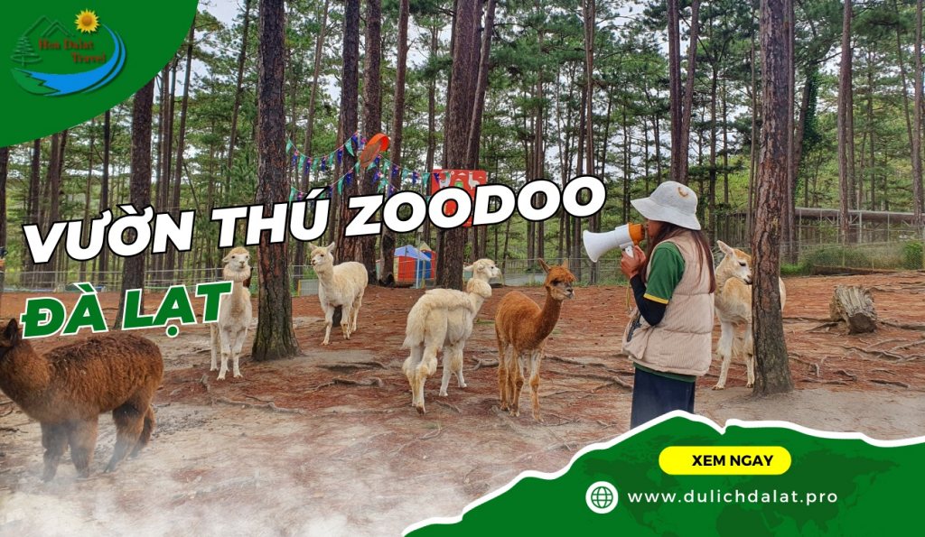 Vườn Thú ZooDoo Đà Lạt