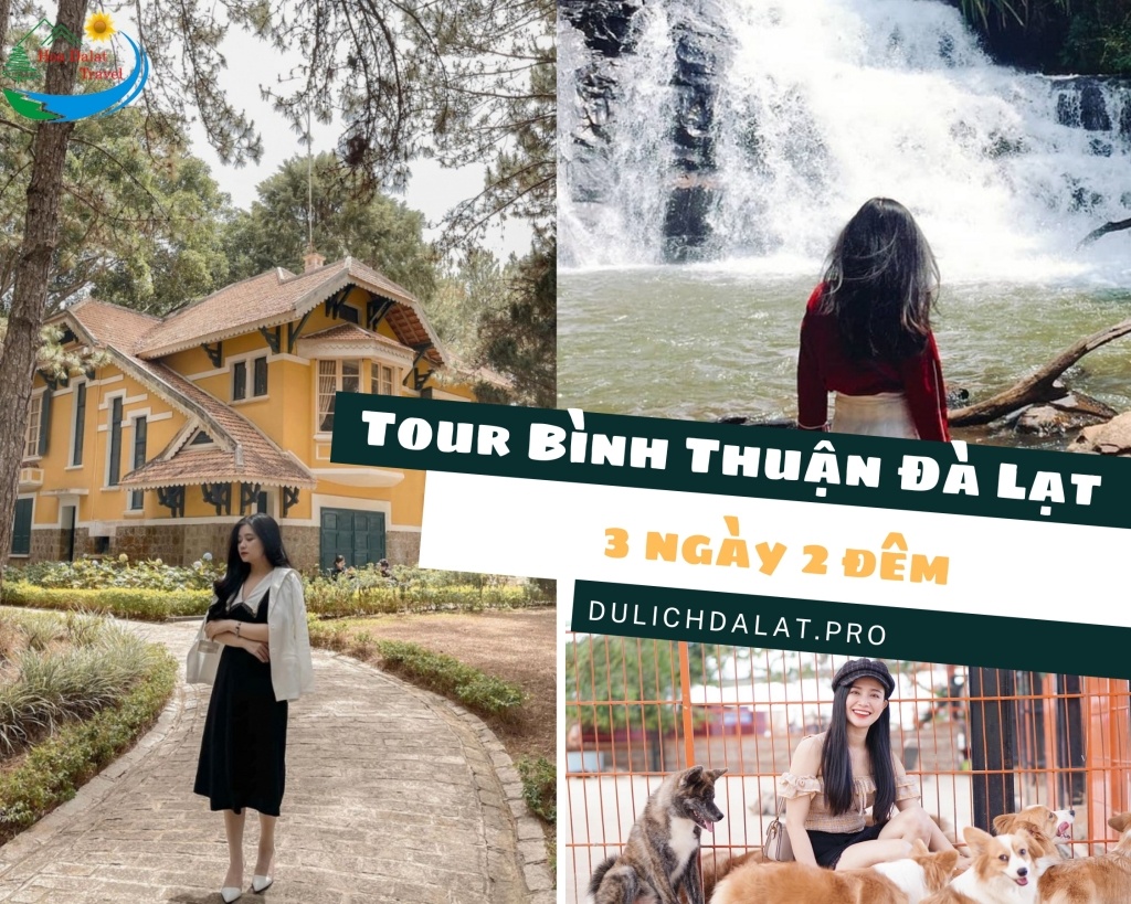 Book ngay Tour Bình Thuận Đà Lạt hấp dẫn