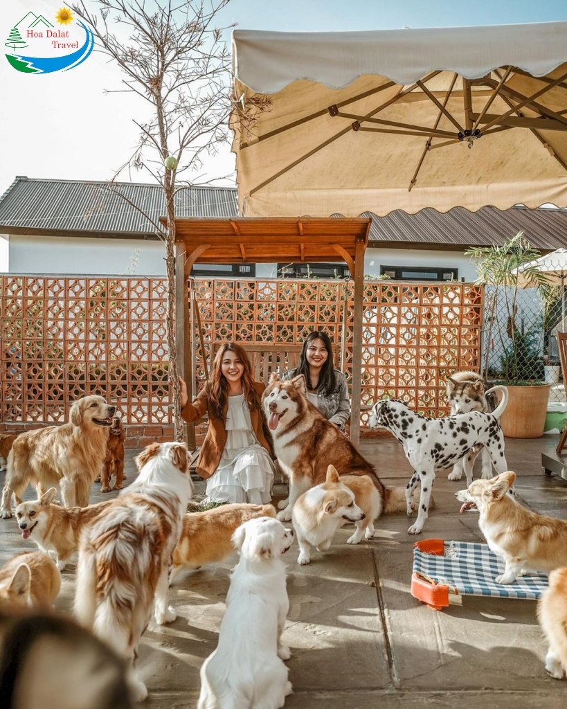 Cafe cún con tại Đà Lạt