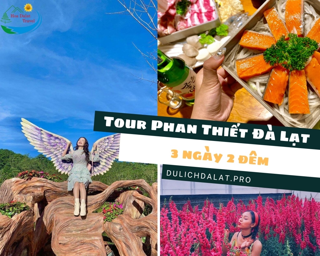 Đặt tour Phan Thiết - Bình Thuận Đà Lạt