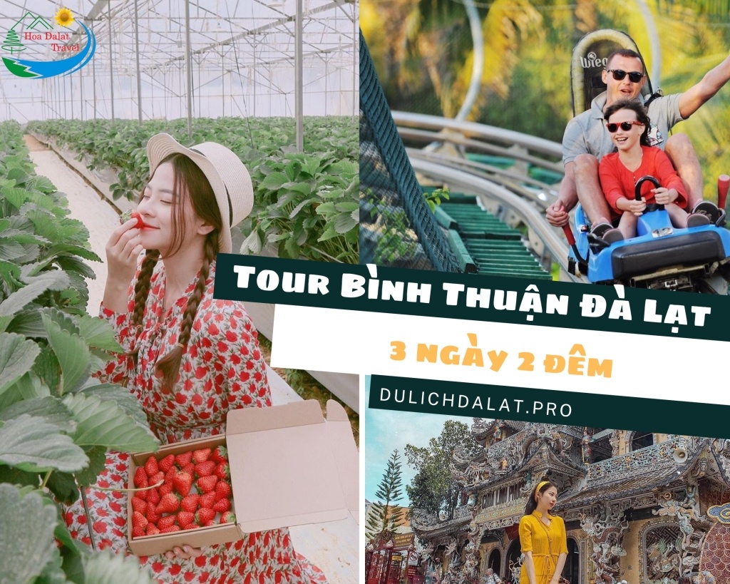 Giá tour Phan Thiết Bình Thuận - Đà Lạt