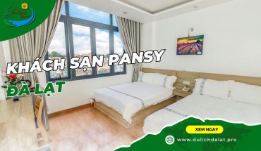 Khách sạn Pansy