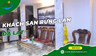 Khách sạn Rừng Lan