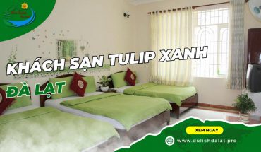 Khách sạn Tulip Xanh