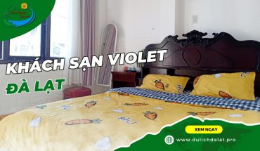 Khách sạn Violet Đà Lạt