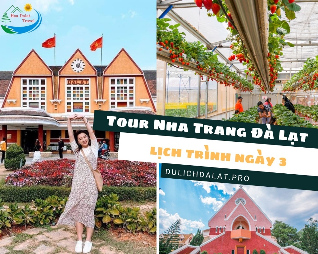 Lịch trình ngày 3 Tour Nha Trang đi Đà Lạt