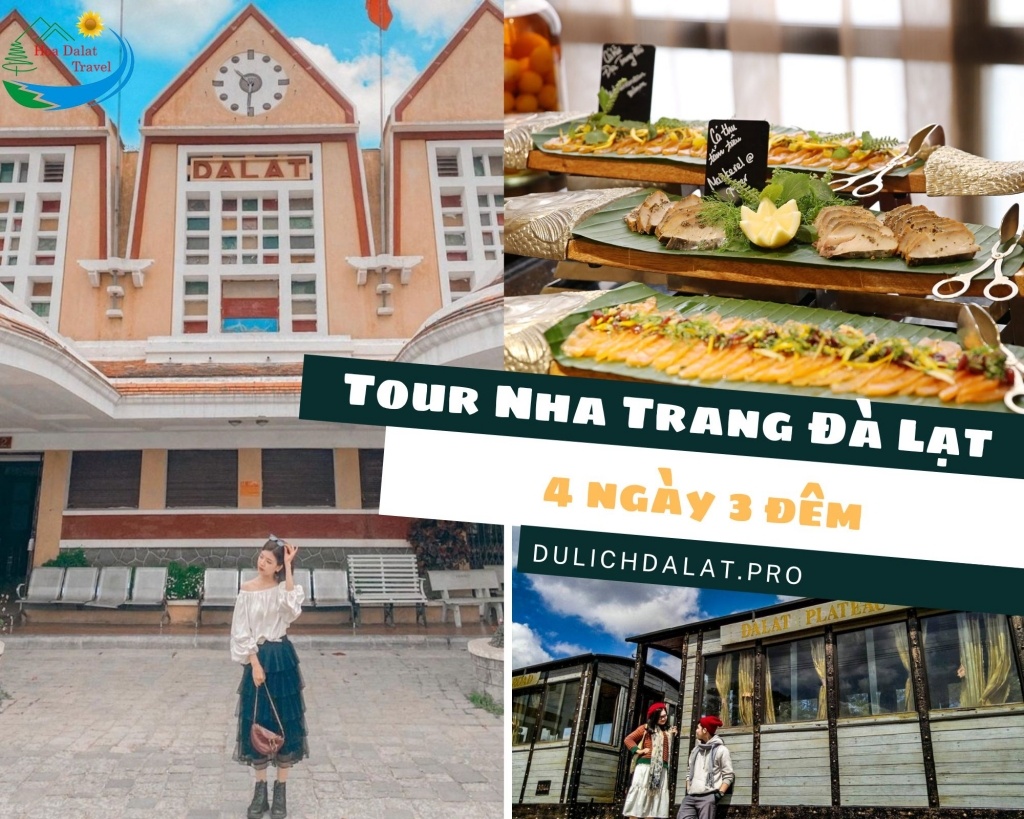 Liên hệ ngay để book tour Nha Trang Đà Lạt nha