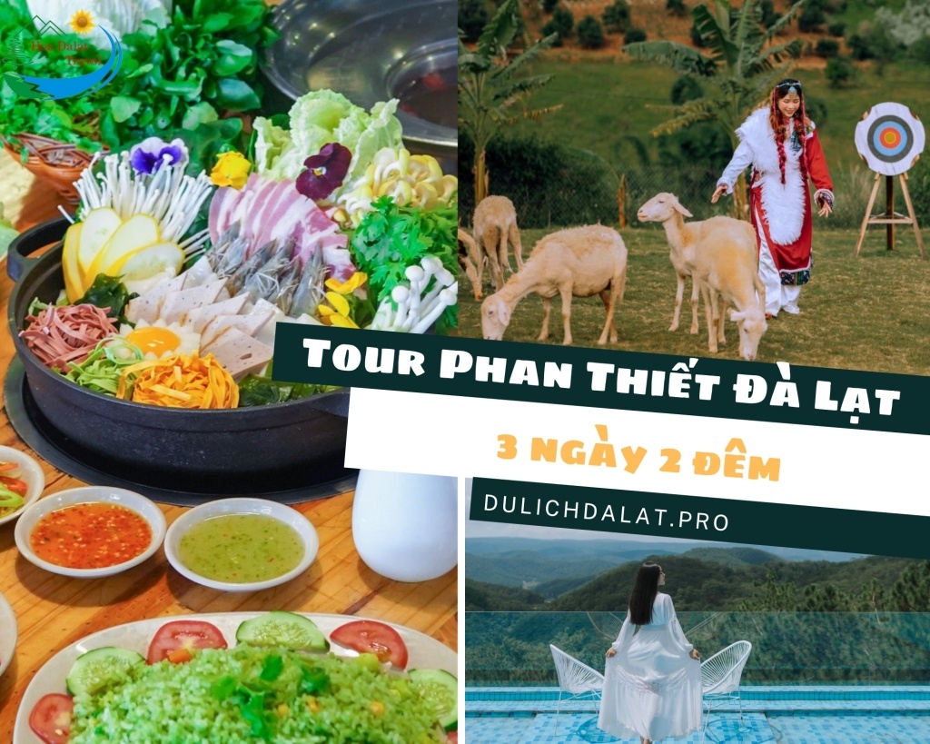 Những lưu ý khi đi tour Phan Thiết - Bình Thuận Đà Lạt