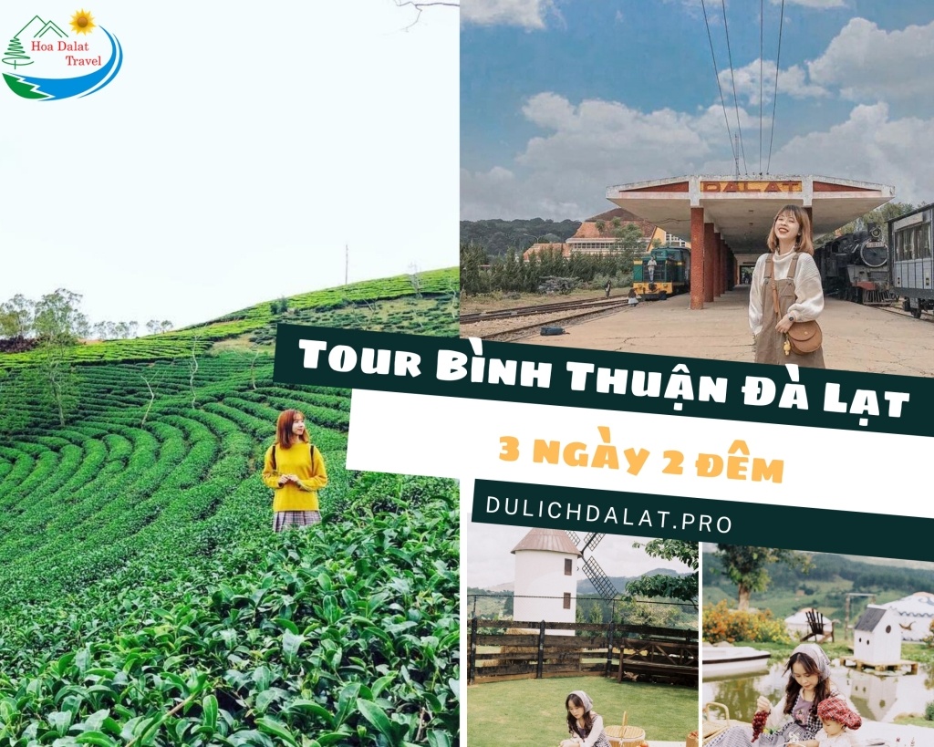 Những quy định trong tour du lịch Phan Thiết Bình Thuận - Đà Lạt