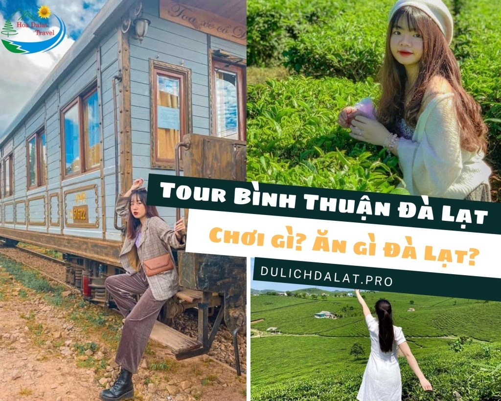 Tour Bình Thuận Đà Lạt Chơi gì - Ăn gì tại Đà Lạt