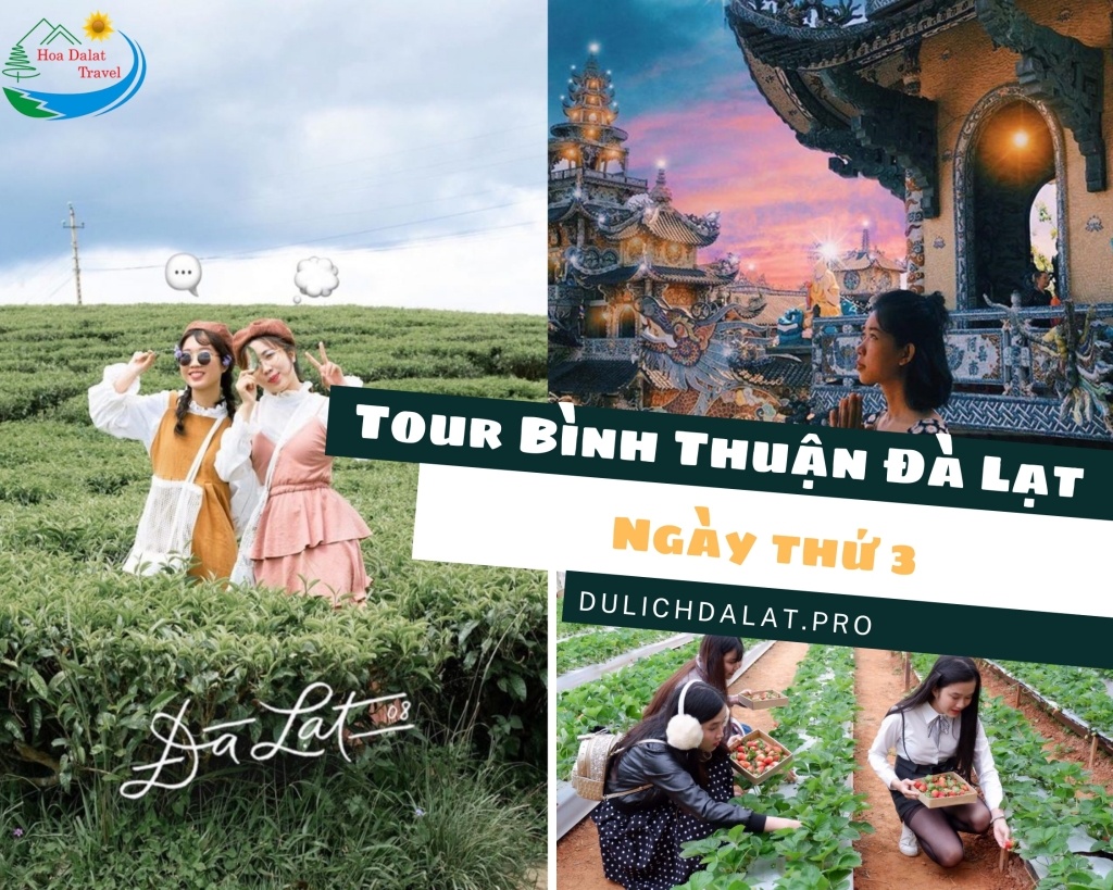 Tour Bình Thuận Đà Lạt Ngày thứ 3