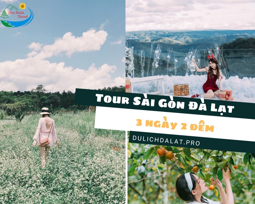 Tour Sài Gòn Đà Lạt 3 ngày 2 đêm hấp dẫn