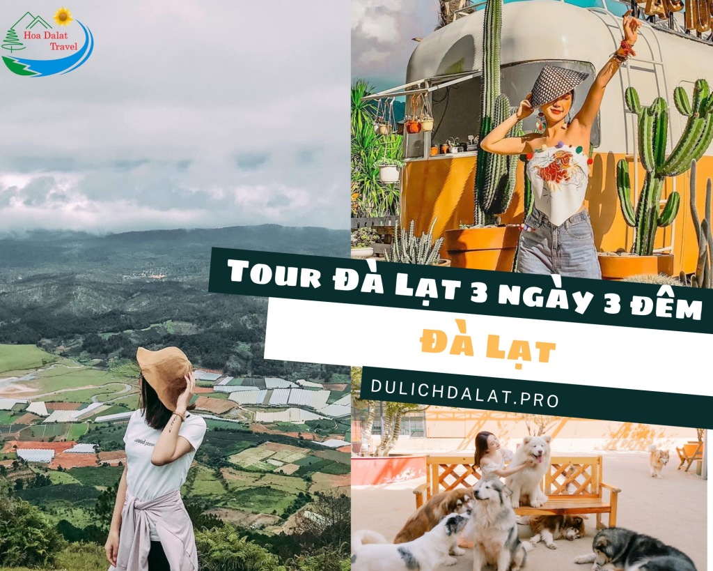 Tham gia tour Đà Lạt 3N3Đ hấp dẫn của Hoa Dalat Travel