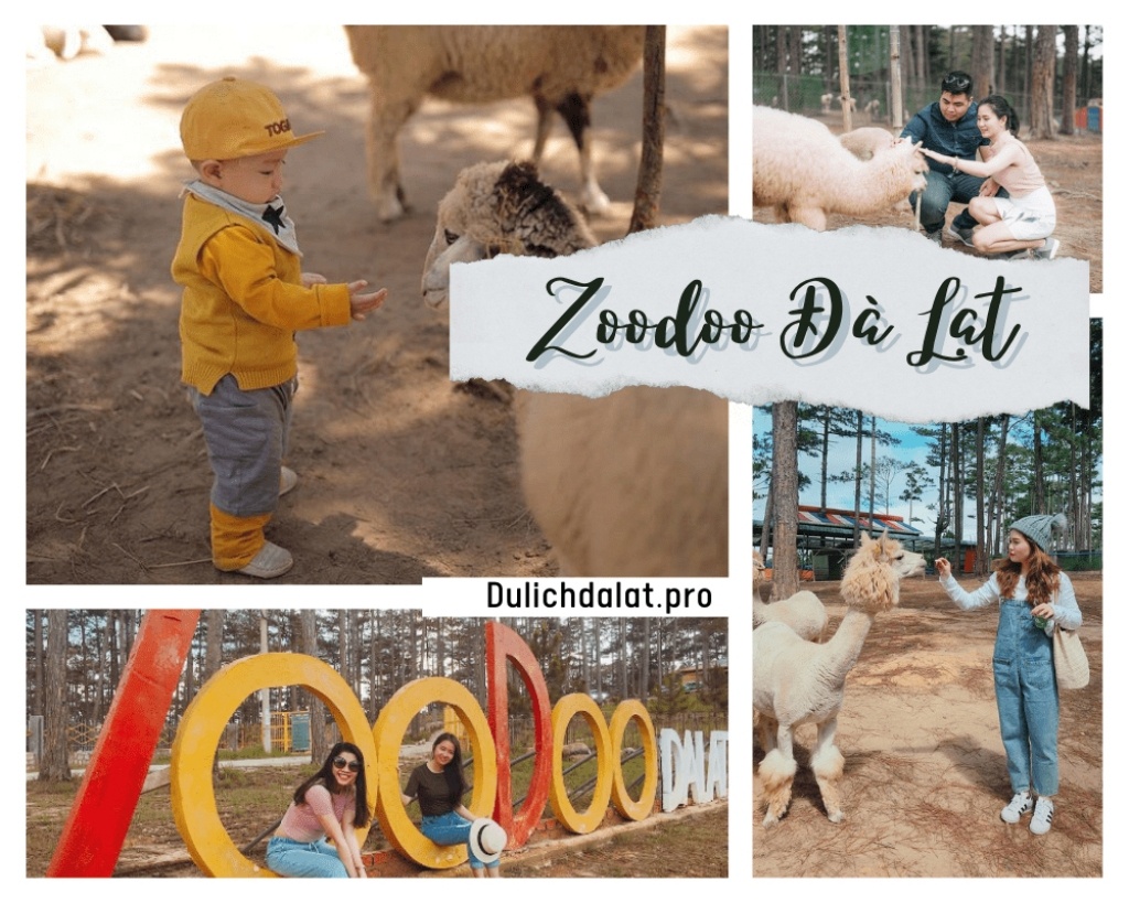Vườn thú Zoodoo