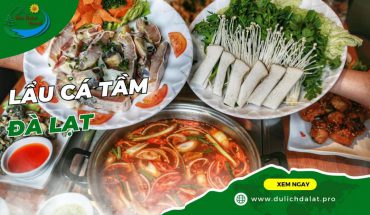 Lẩu cá tầm Đà Lạt