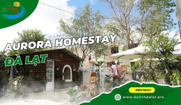 Aurora Homestay