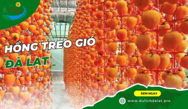 Hồng treo gió Đà Lạt