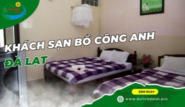 Khách Sạn Bồ Công Anh