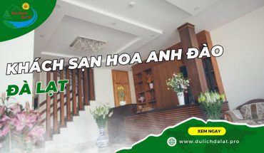 Khách sạn Hoa Anh Đào