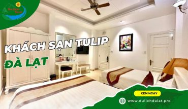 Khách sạn Tulip Đà Lạt