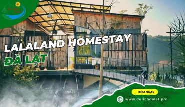 Lalaland Homestay Đà Lạt