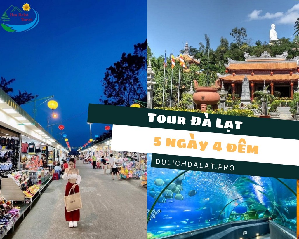 Tham quan chợ Nha Trang – Chùa Long Sơn – Viện Hải Dương Học