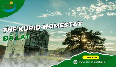 The Kupid Homestay