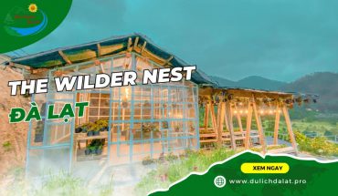 The Wilder Nest