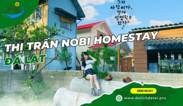 Thị trấn Nobi Homestay