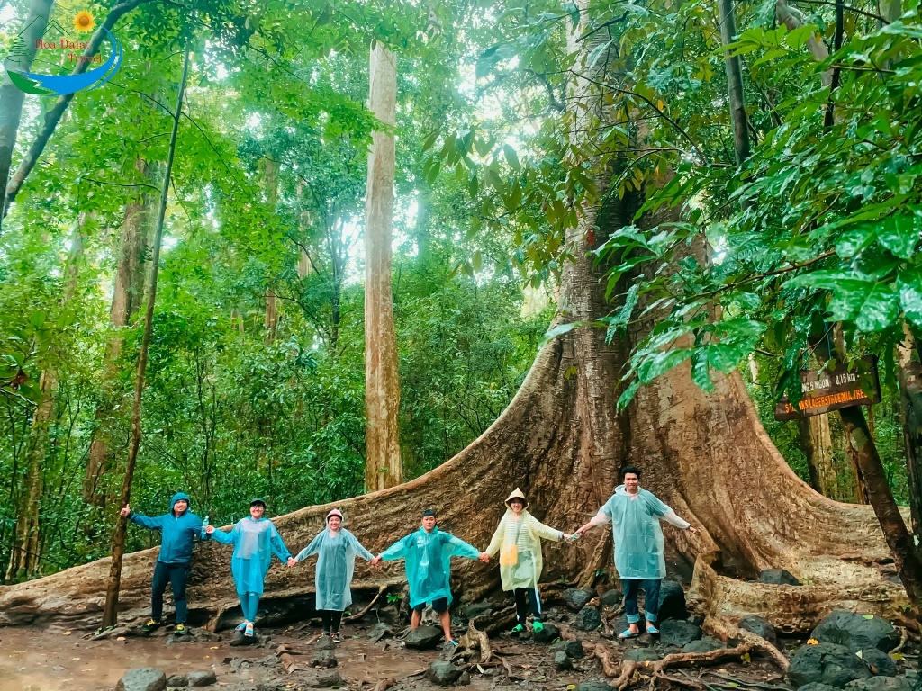 du lịch rừng Nam Cát Tiên