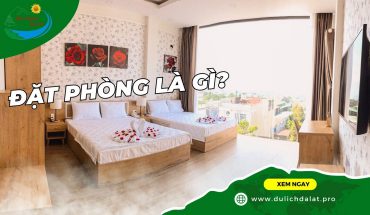 Đặt phòng là gì