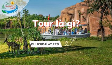 Tour là gì